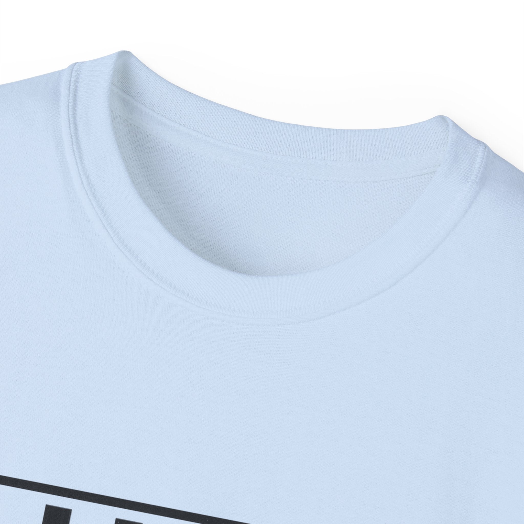I Like Big Loans and I Cannot Lie – Unisex Heavy Cotton Tee BLACK FONT