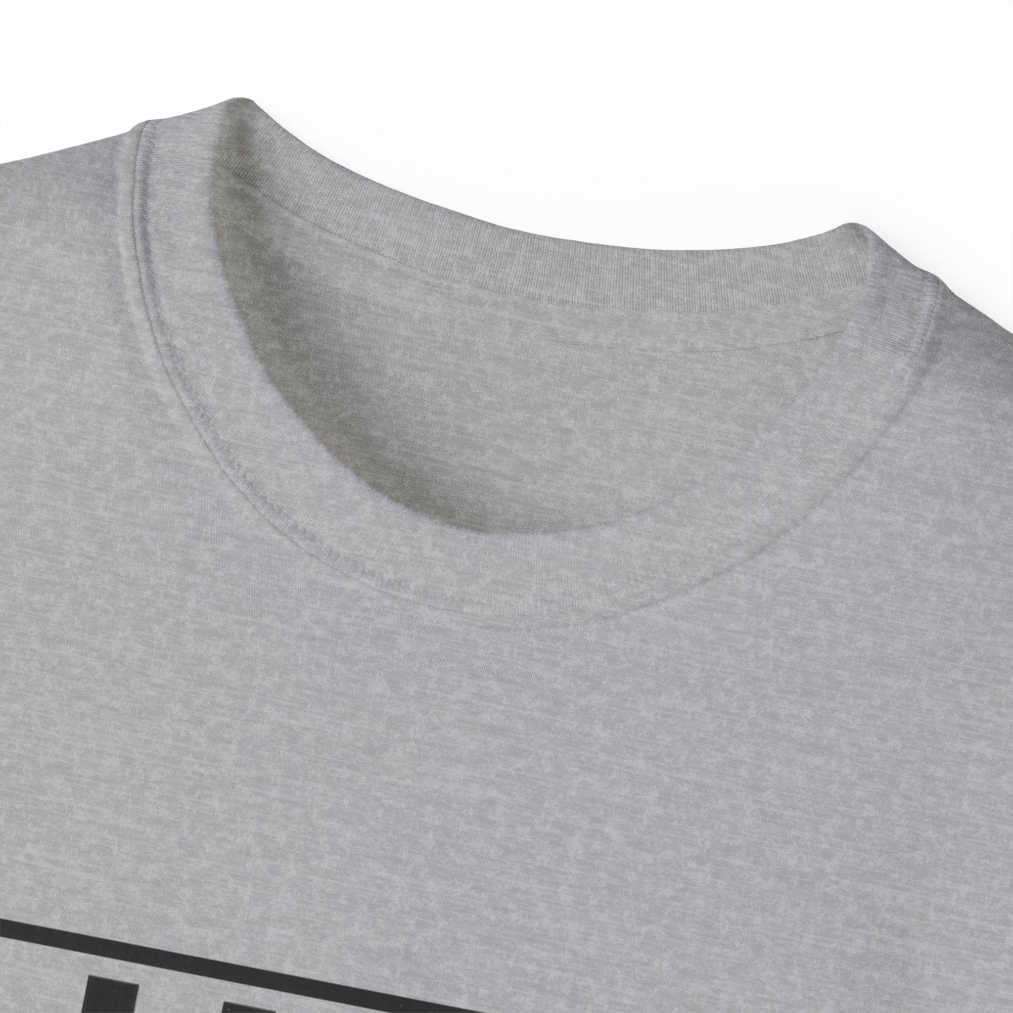 I Like Big Loans and I Cannot Lie – Unisex Heavy Cotton Tee BLACK FONT