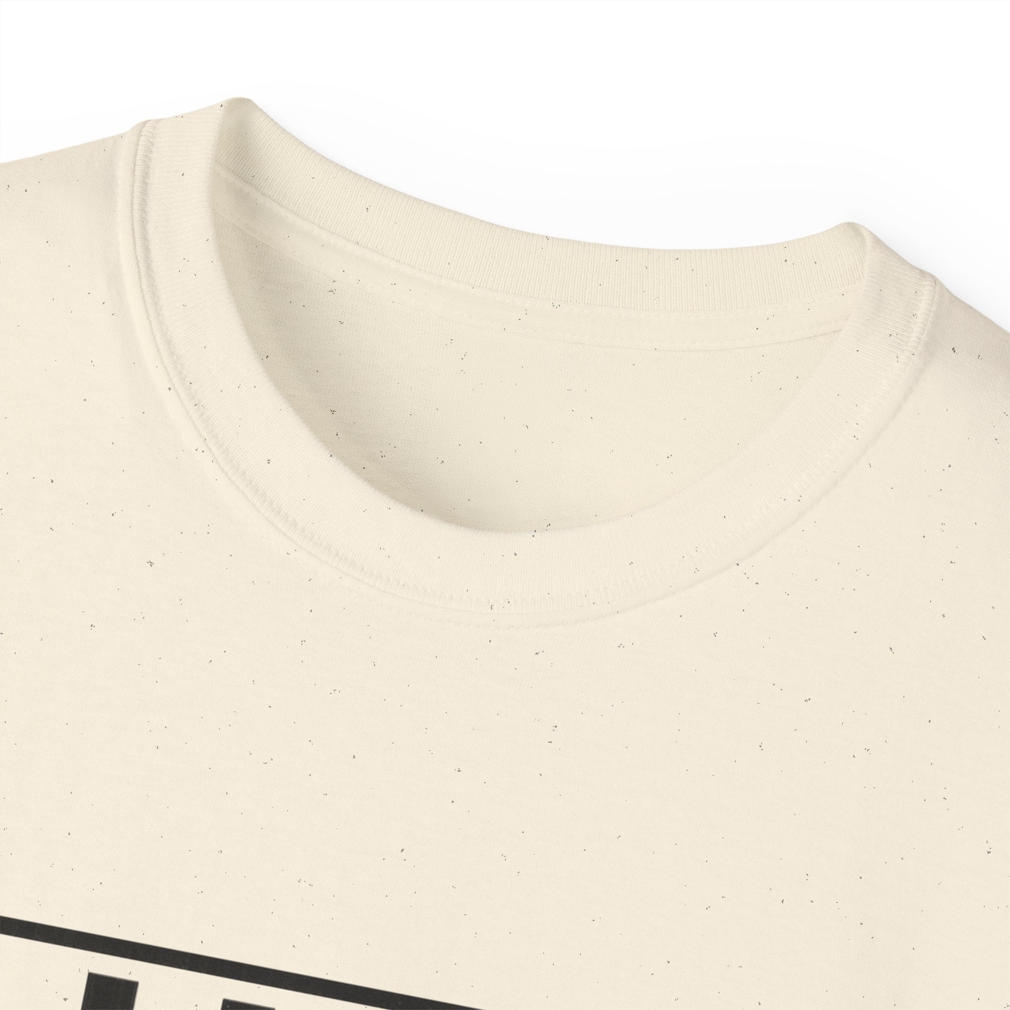 I Like Big Loans and I Cannot Lie – Unisex Heavy Cotton Tee BLACK FONT
